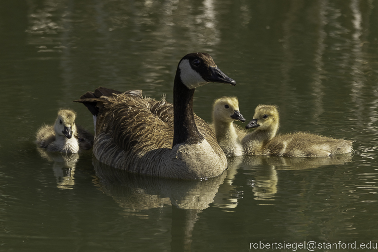 emily renzel wetlands 2023